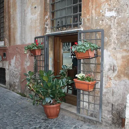 Navona Secret * Rom